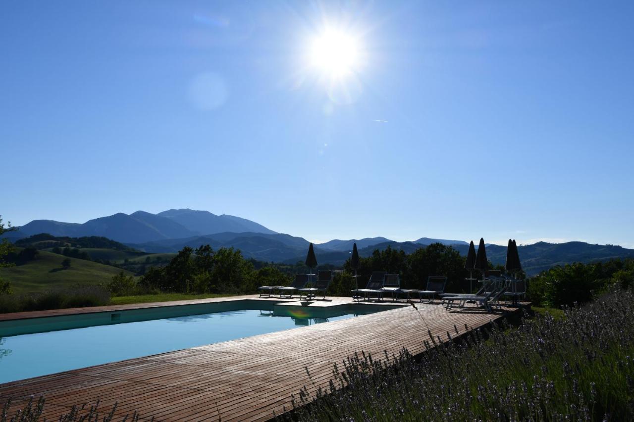 Agriturismo Molleone Кальи Экстерьер фото
